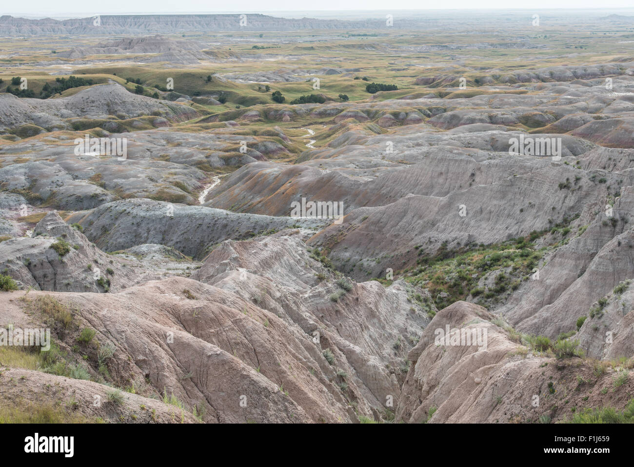 La laminazione di roccia erosa e formazioni del terreno al Parco nazionale Badlands, South Dakota. Foto Stock