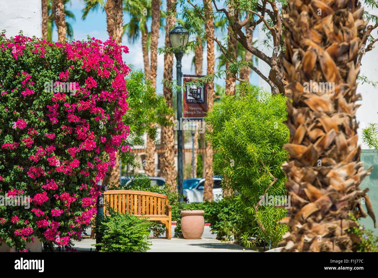 In estate La Quinta, California, Stati Uniti. Fiori e palme in La quinta area del centro cittadino. Foto Stock