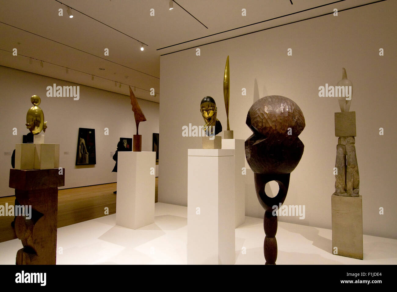 Varie sculture sul display interno il Museo di Arte Moderna di Manhattan, New York City Foto Stock