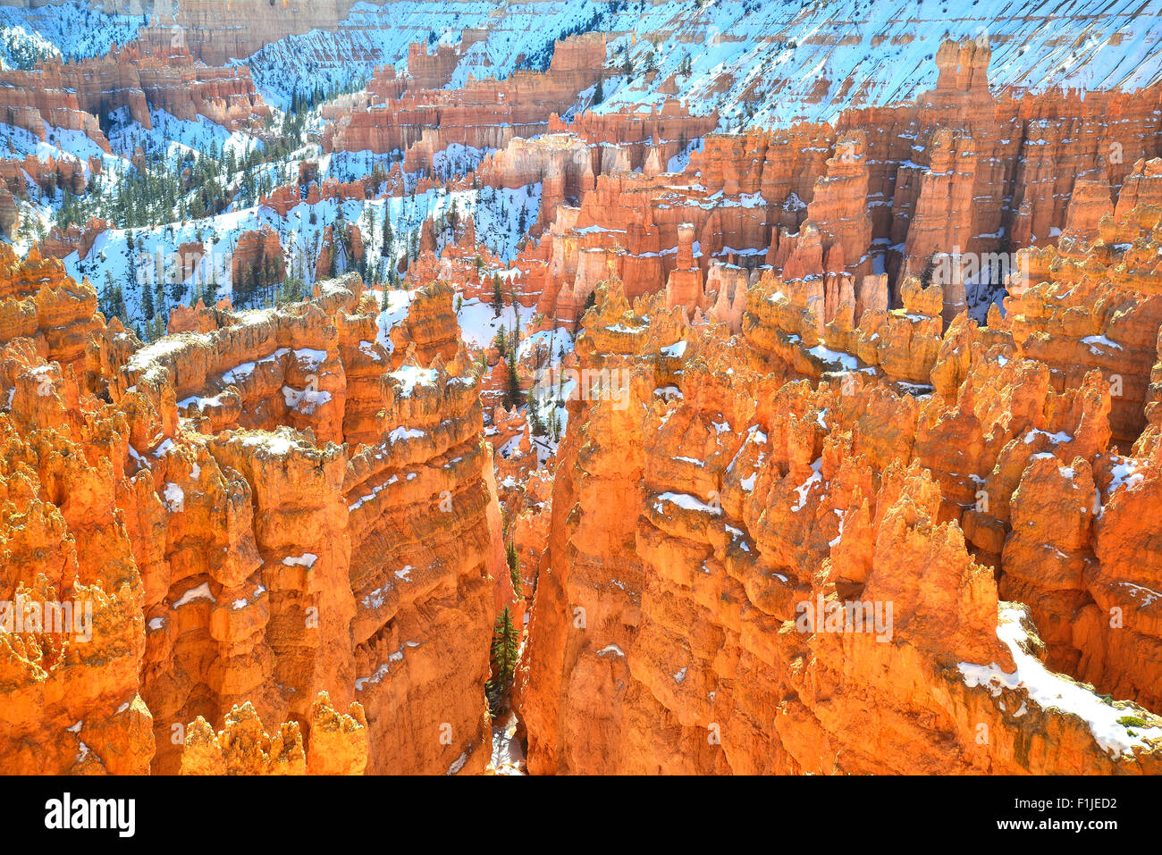 La luce del mattino sulla città silenziosa hoodoos come osservato da Rim Trail vicino al punto del tramonto si affacciano nel Parco Nazionale di Bryce Canyon dello Utah Foto Stock