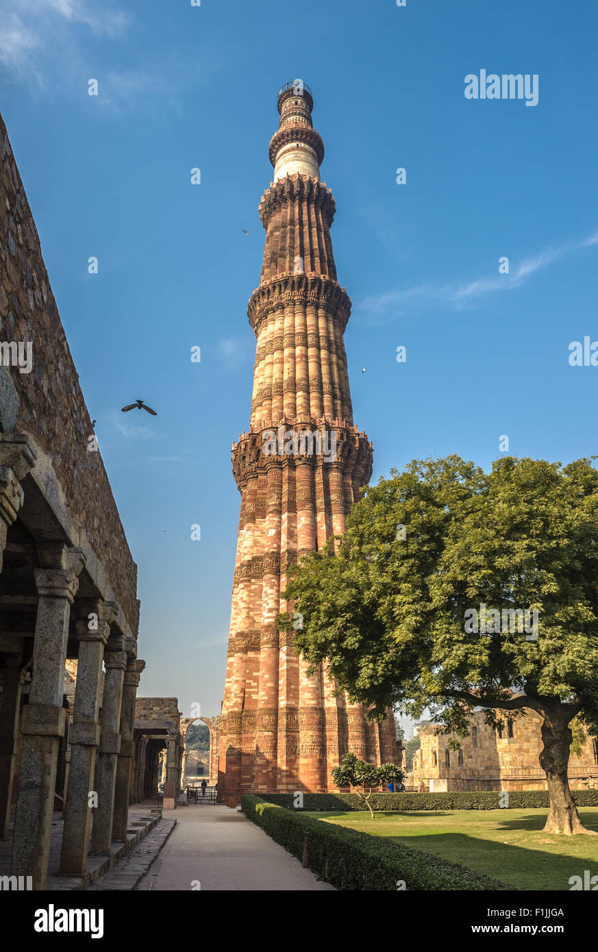 Qutub Minar torre, Delhi, India Foto Stock