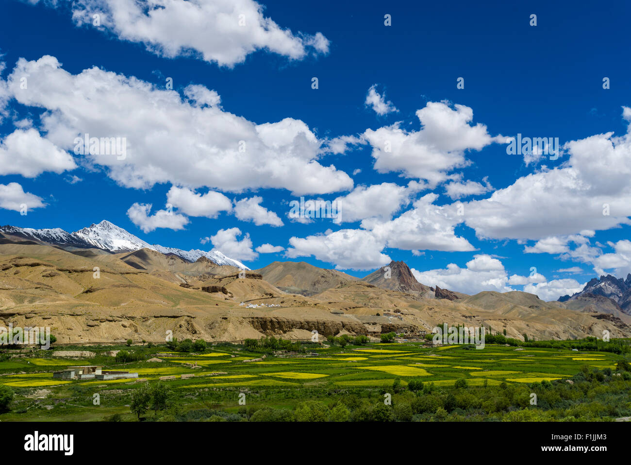 Paesaggio arido, campi verdi, cielo blu e nuvole sotto Fotu La pass, 4.108 m, su Srinagar-Leh-autostrada, Lamayuru Foto Stock