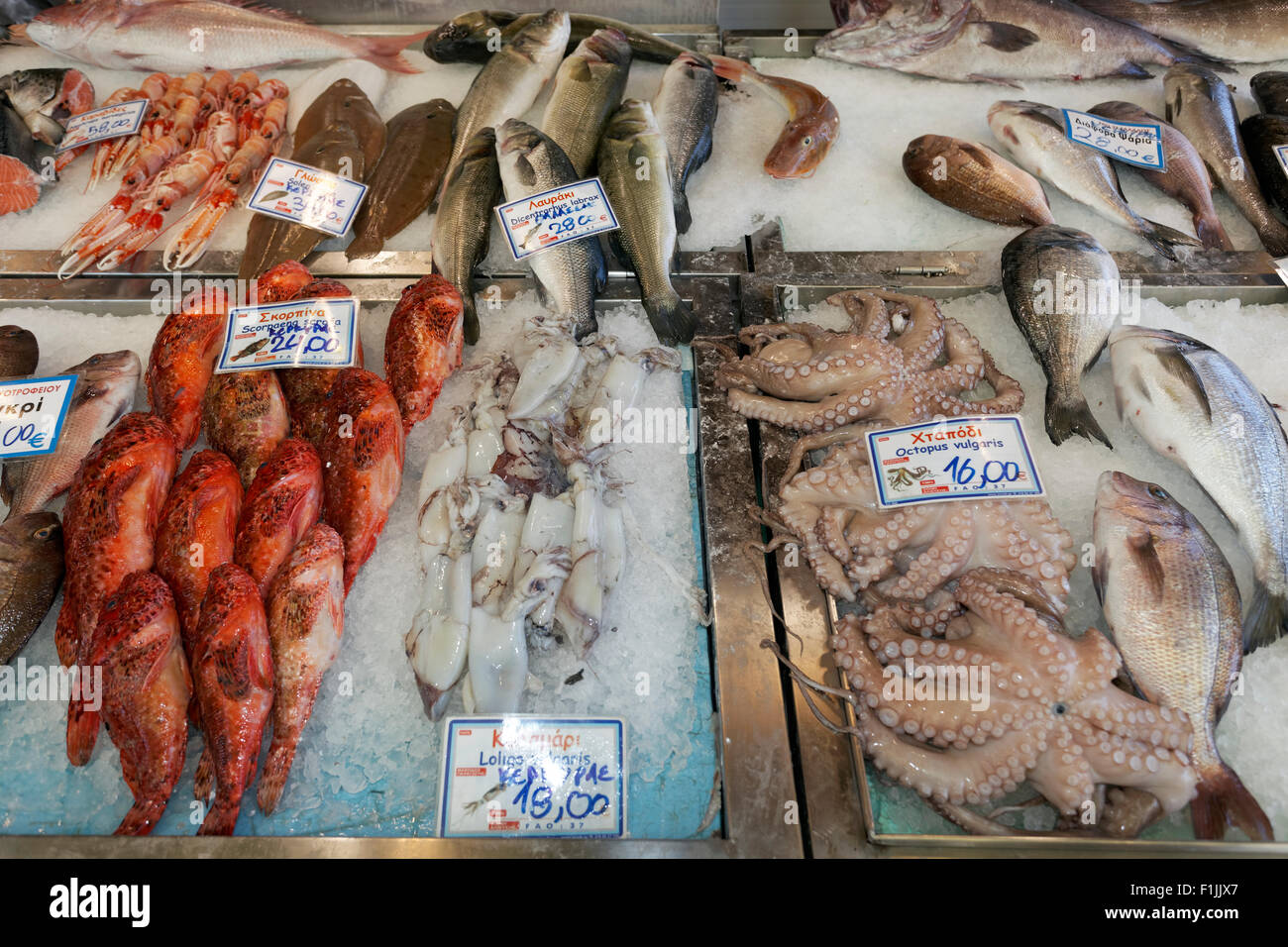 Vari tipi di pesci e frutti di mare al mercato del pesce e la città di Corfù, l'isola di Corfù, o Corfu, Isole Ionie, Grecia Foto Stock