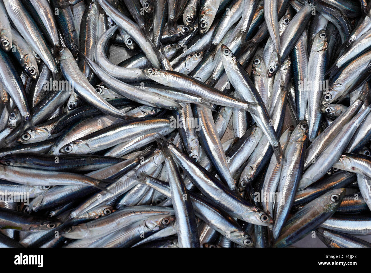 Sardine (Sardina pilchardus) al mercato del pesce e la città di Corfù, Sito Patrimonio Mondiale dell'Unesco, o di Corfu Corfu isola Foto Stock