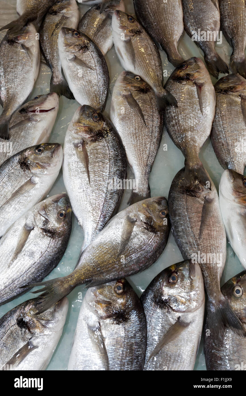 Pagro (Pagrus Pagrus) al mercato del pesce e la città di Corfù, Sito Patrimonio Mondiale dell'Unesco, o di Corfu Corfu isola, ISOLE IONIE Foto Stock