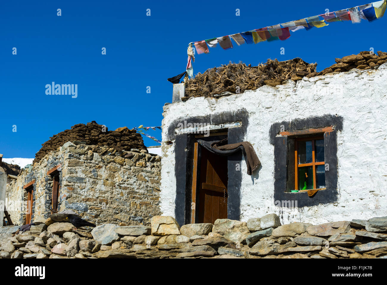 Case di Korzok, area Changtang, Korzok, Jammu e Kashmir India Foto Stock