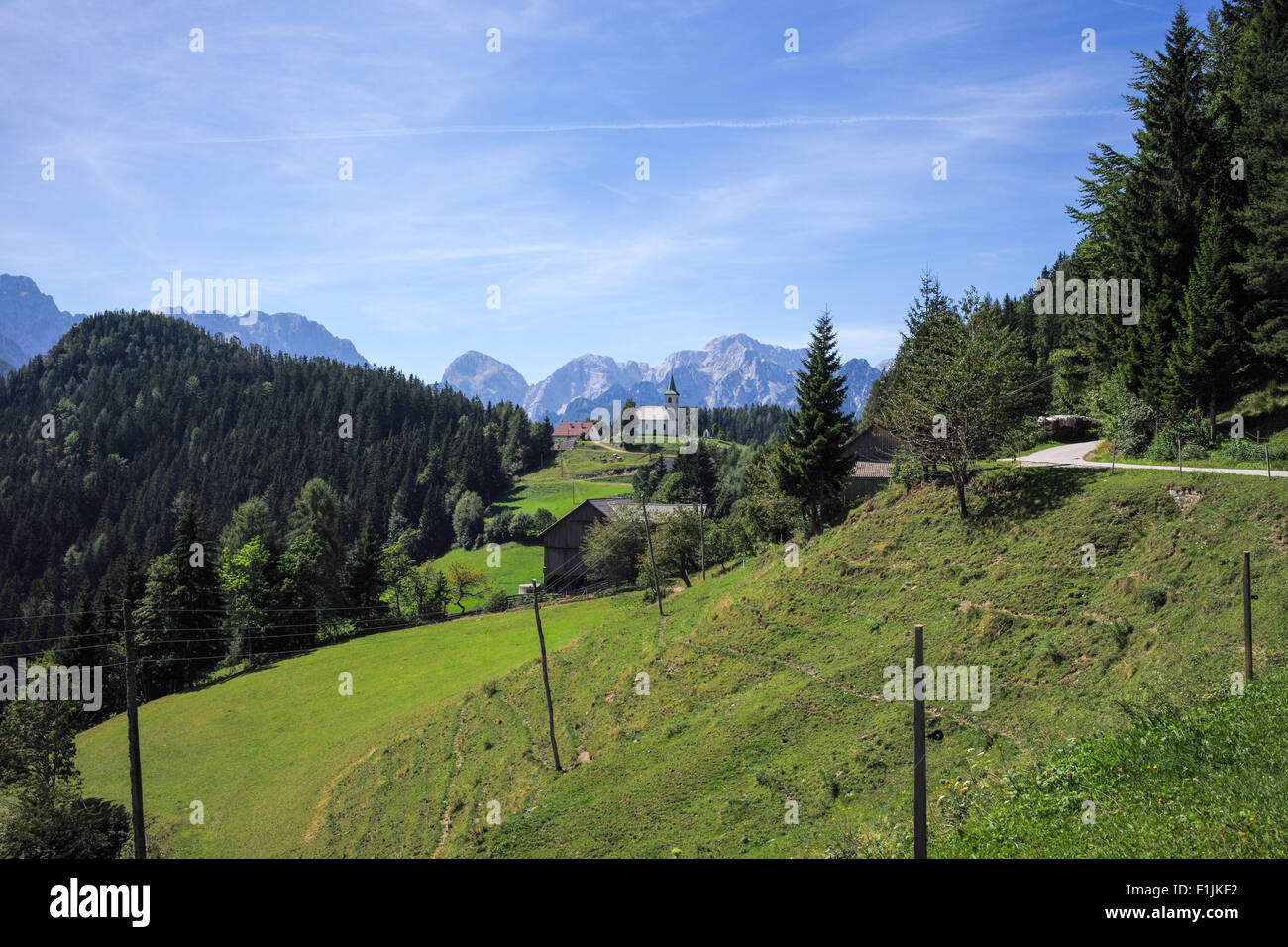 Panoramica Strada Solcava, Slovenia Foto Stock