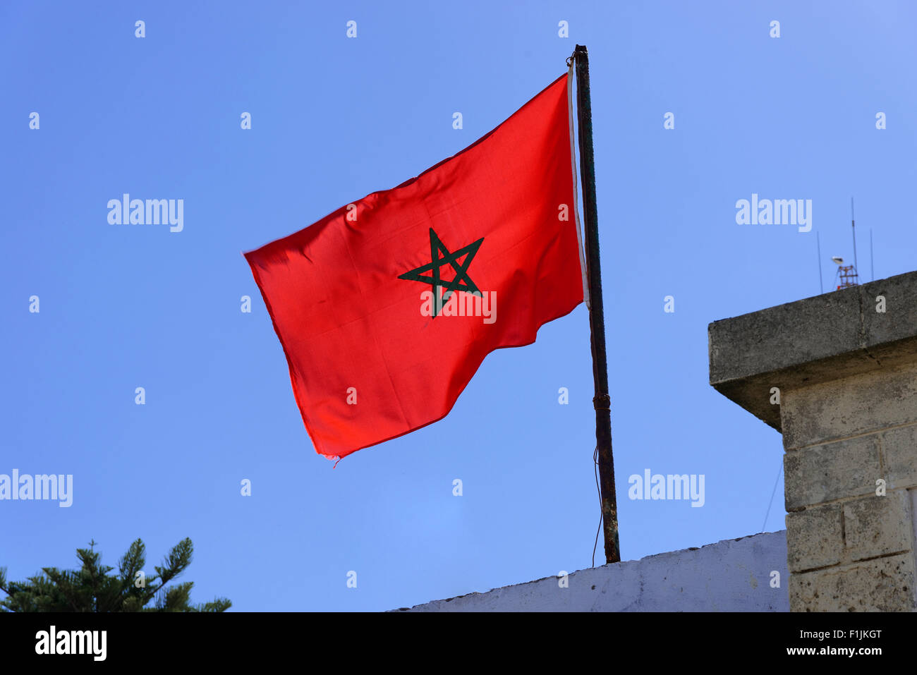 Marocchino bandiera nazionale, Marocco Foto Stock