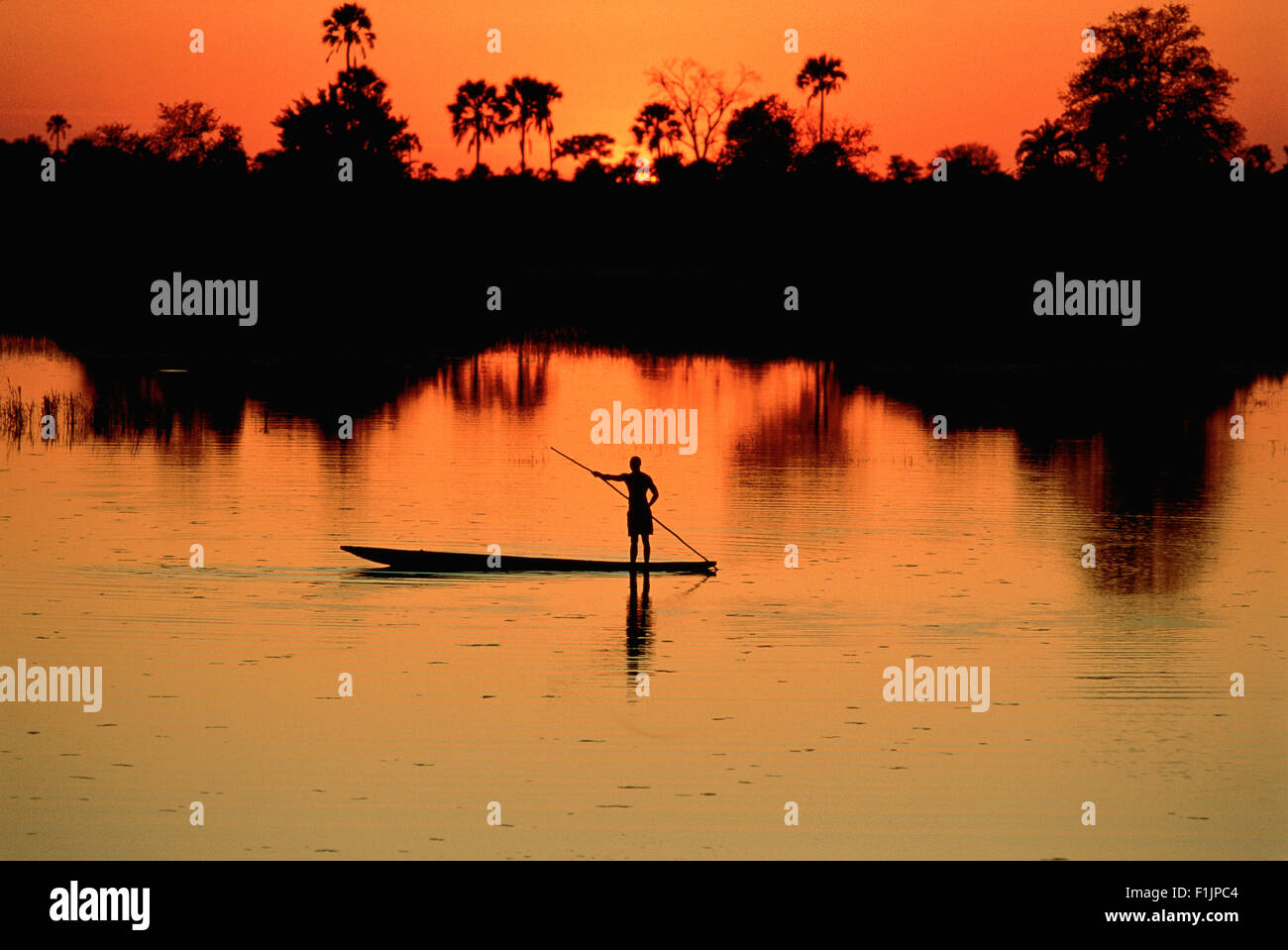 Barcaiolo sul fiume Chobe al tramonto, Botswana, Africa Foto Stock