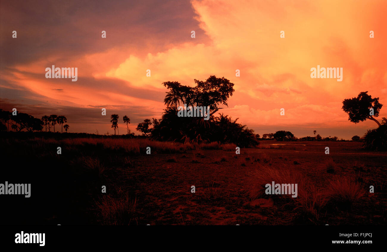 Silhouette di paesaggio al tramonto, Okavango Botswana, Africa Foto Stock