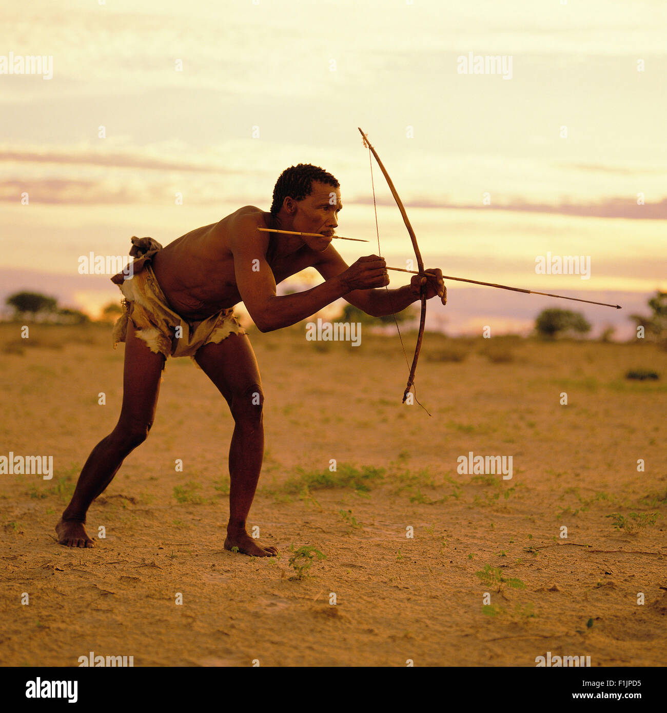 La caccia dei Boscimani, Botswana, Africa Foto Stock