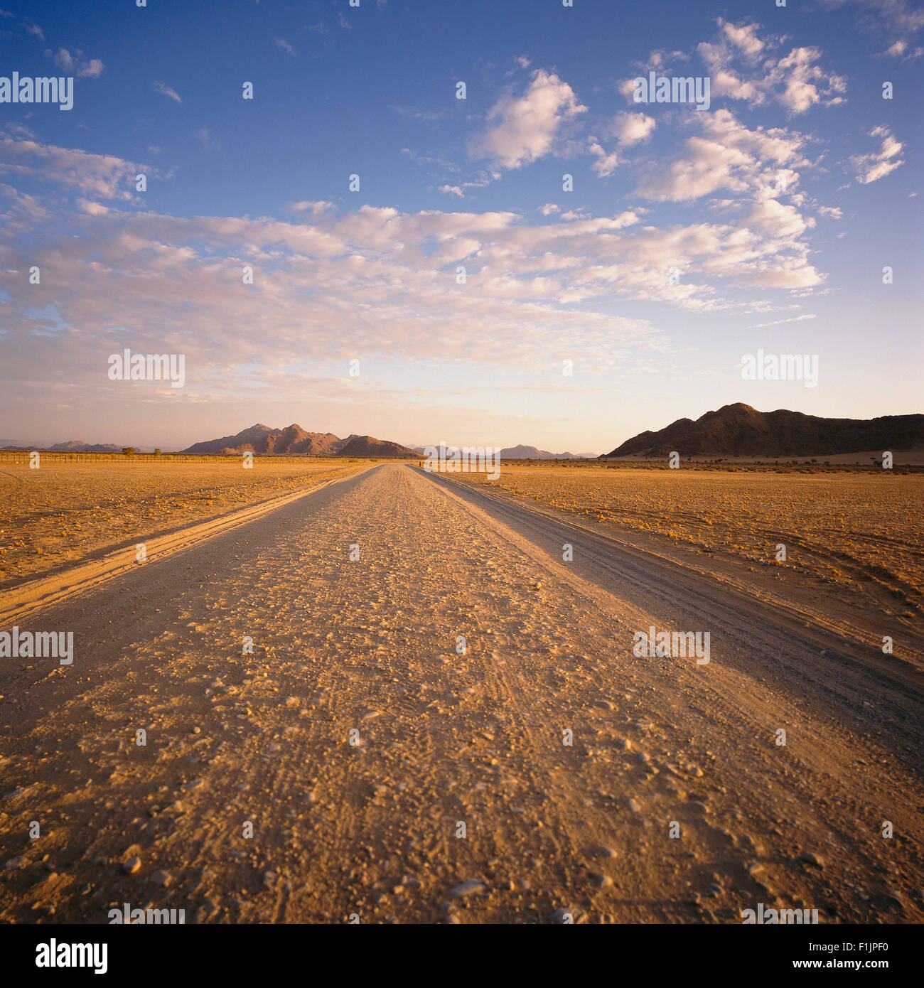 Strada sterrata Naukluft, Namibia, Africa Foto Stock