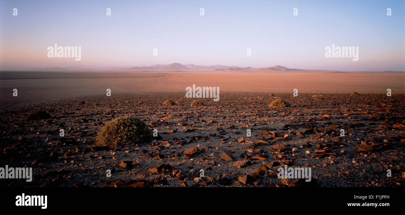 Deserto vicino a unità organizzative, Namib Desert, Namibia, Africa Foto Stock