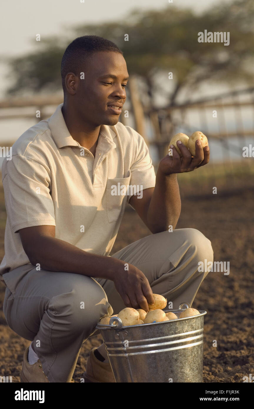 L'uomo nel campo azienda materie patate, sorridente Foto Stock