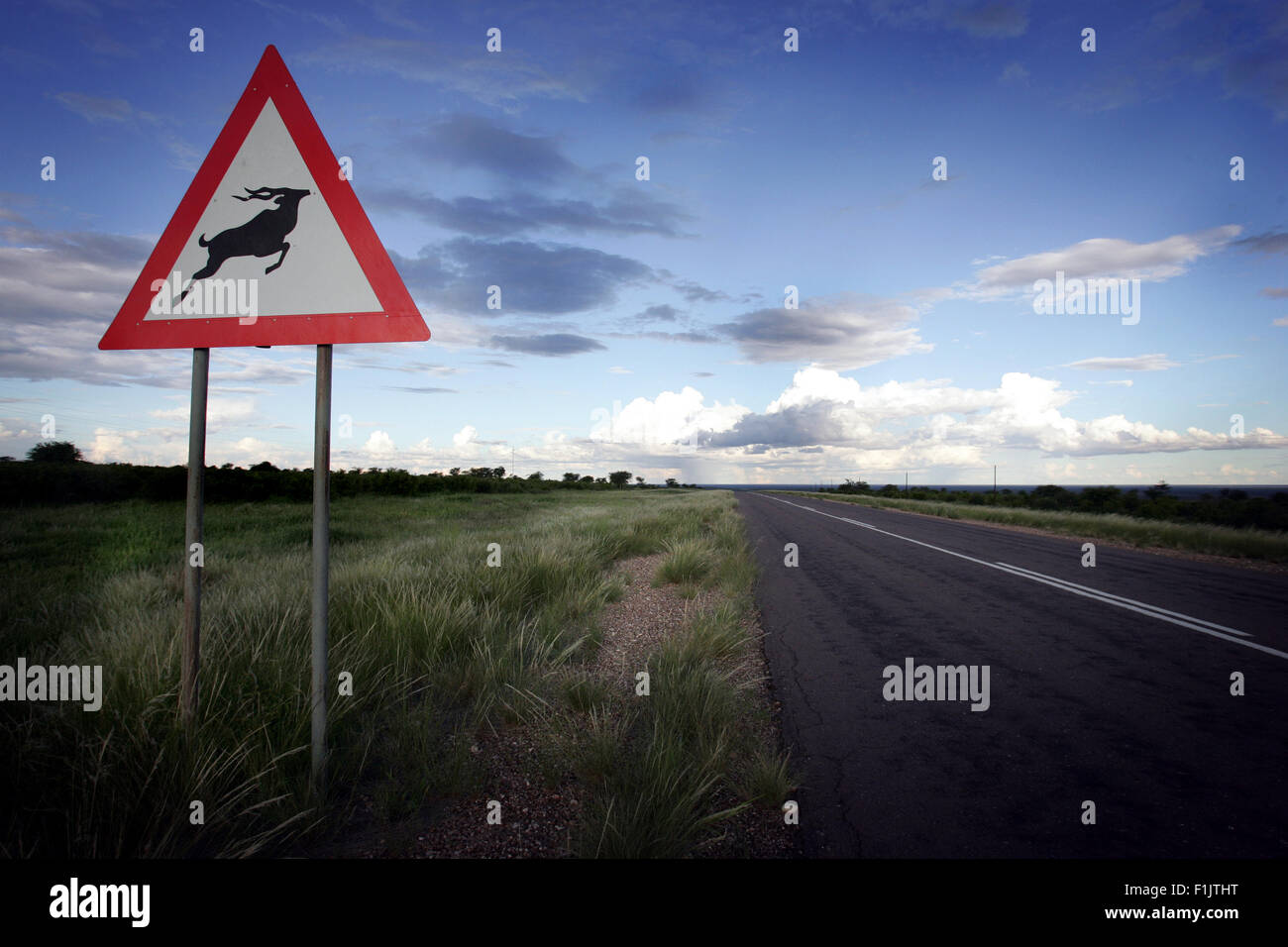 Cartello stradale su una strada di catrame, Namibia, Sud Africa. Foto Stock