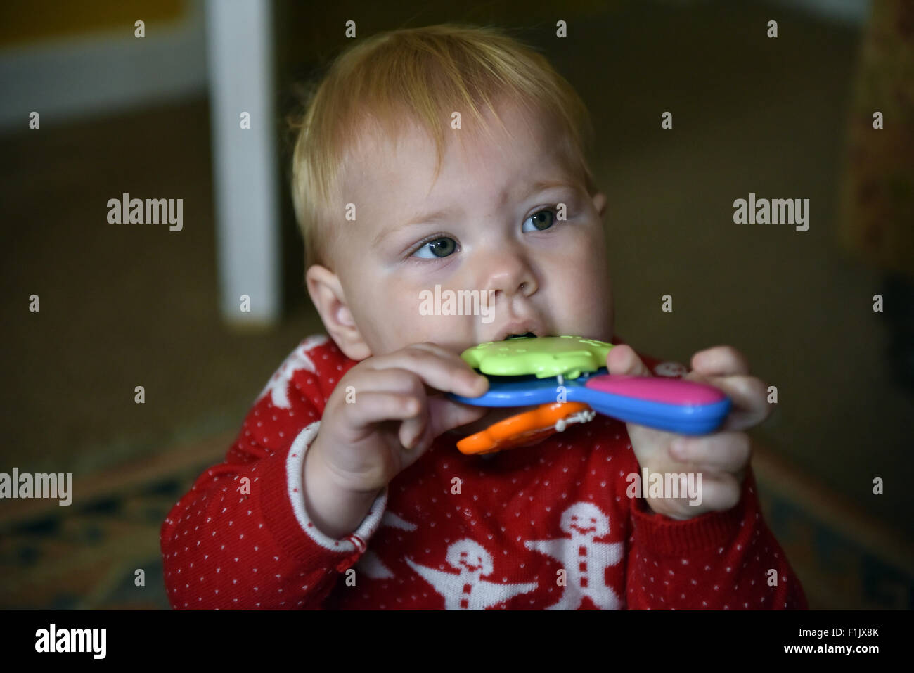 Un bambino di undici mesi seduto sul pavimento morde un giocattolo di plastica per alleviare il dolore e il disagio dei denti. Foto Stock