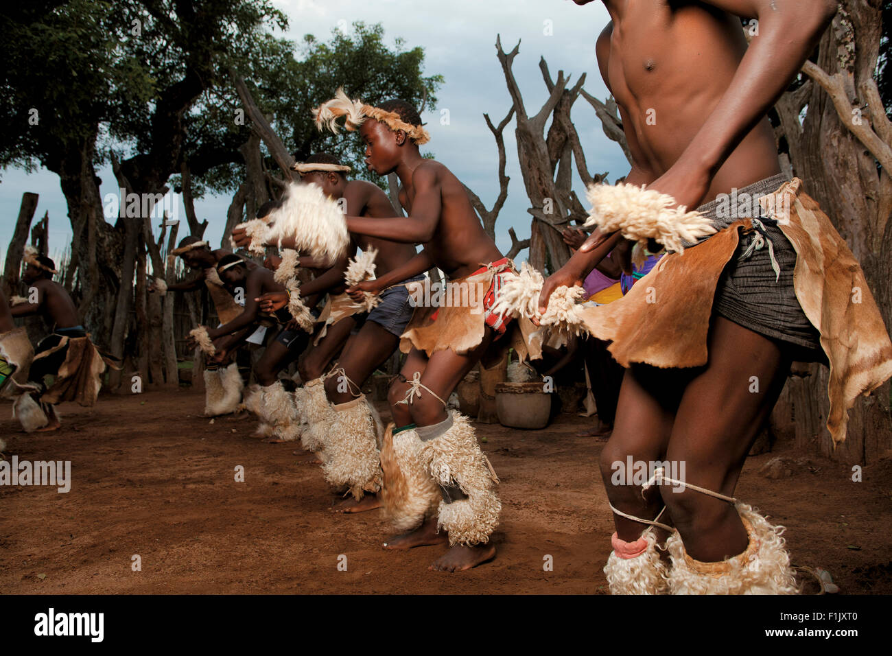 Shangaan ballerini, Nyani villaggio tribale Foto Stock