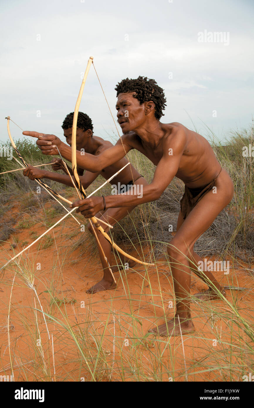 I Boscimani del Kalahari Foto Stock