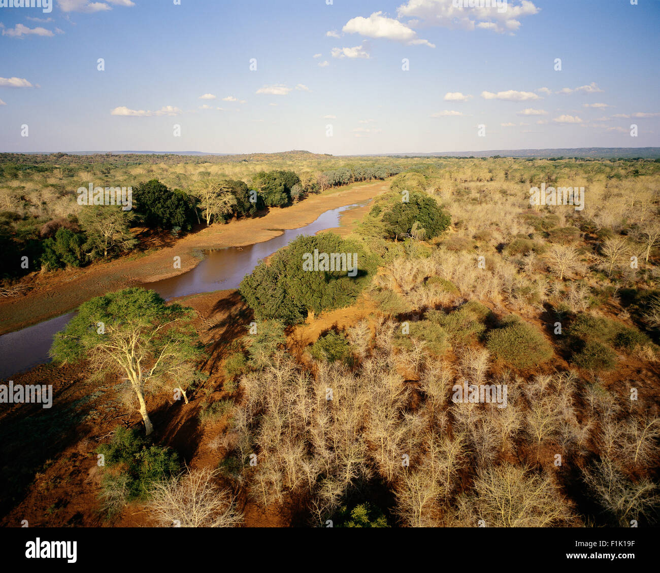 Vista di estuario del fiume Parco Nazionale Kruger Mpumalanga, Sud Africa Foto Stock