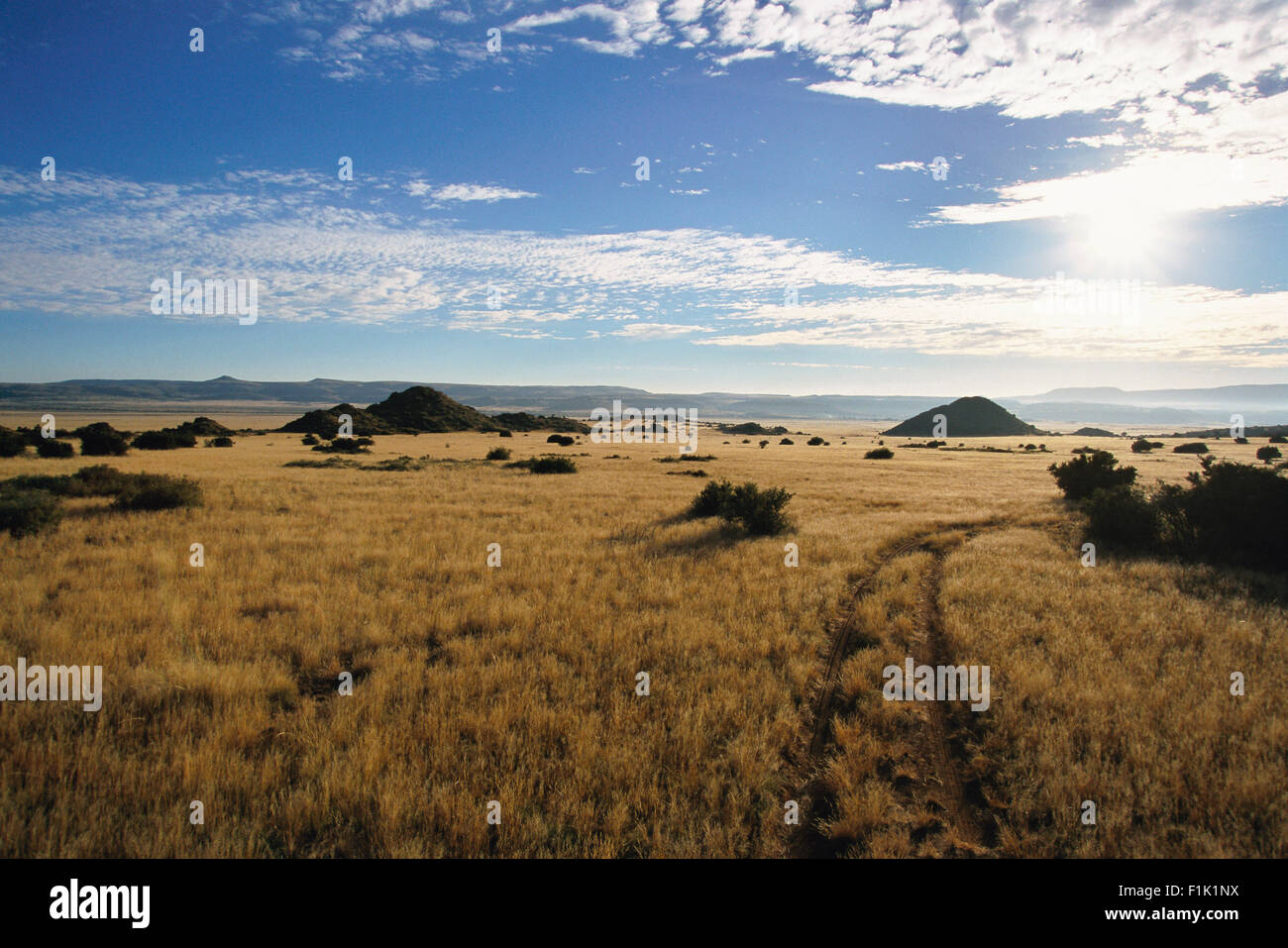 Tracce di pneumatici, Karoo, Western Cape, Provincia del Capo, in Sud Africa Foto Stock