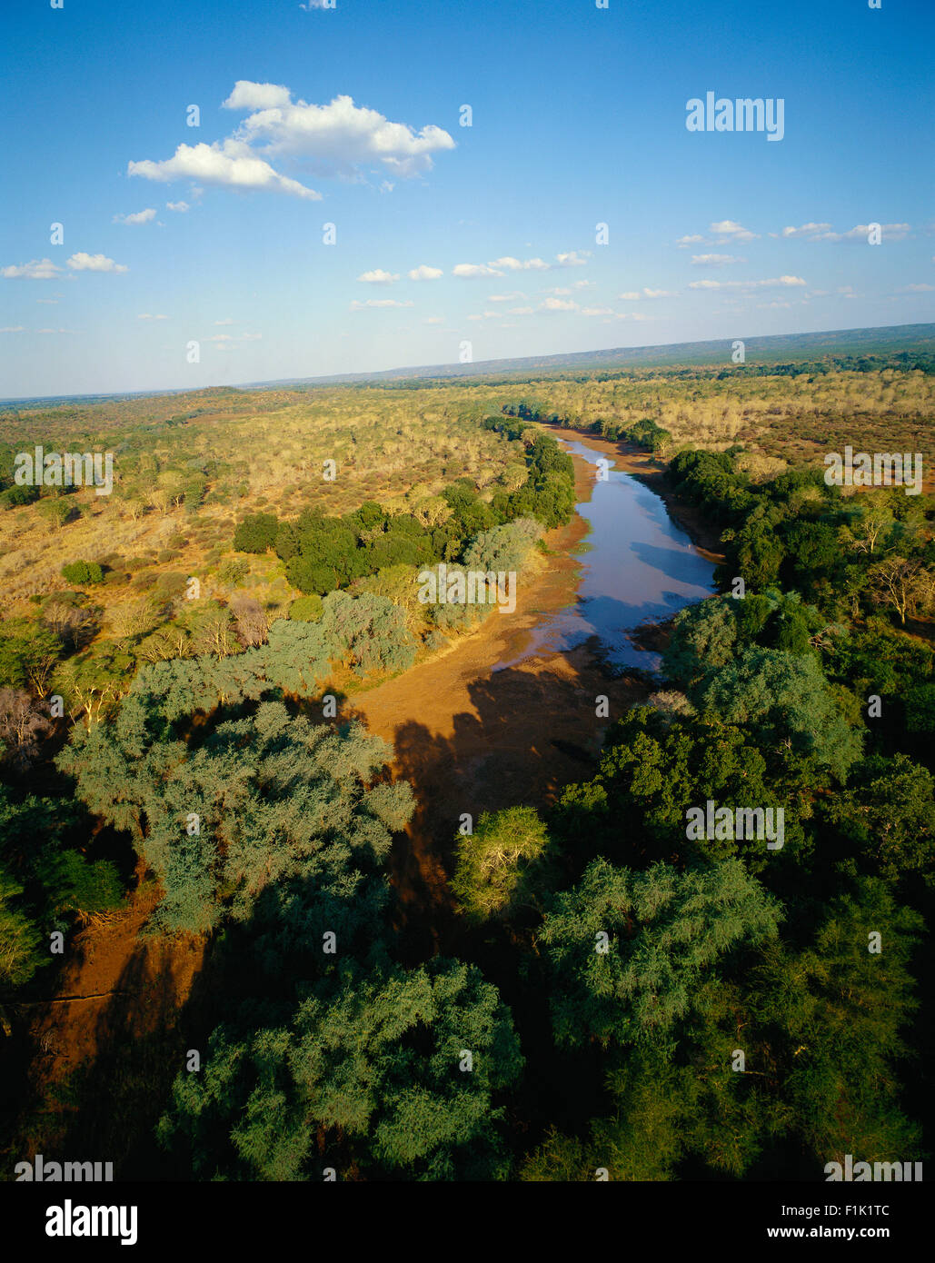Fiume Levuvhu, Thulamela Punda Maria, Parco Nazionale Kruger Provincia del Nord, Sud Africa Foto Stock