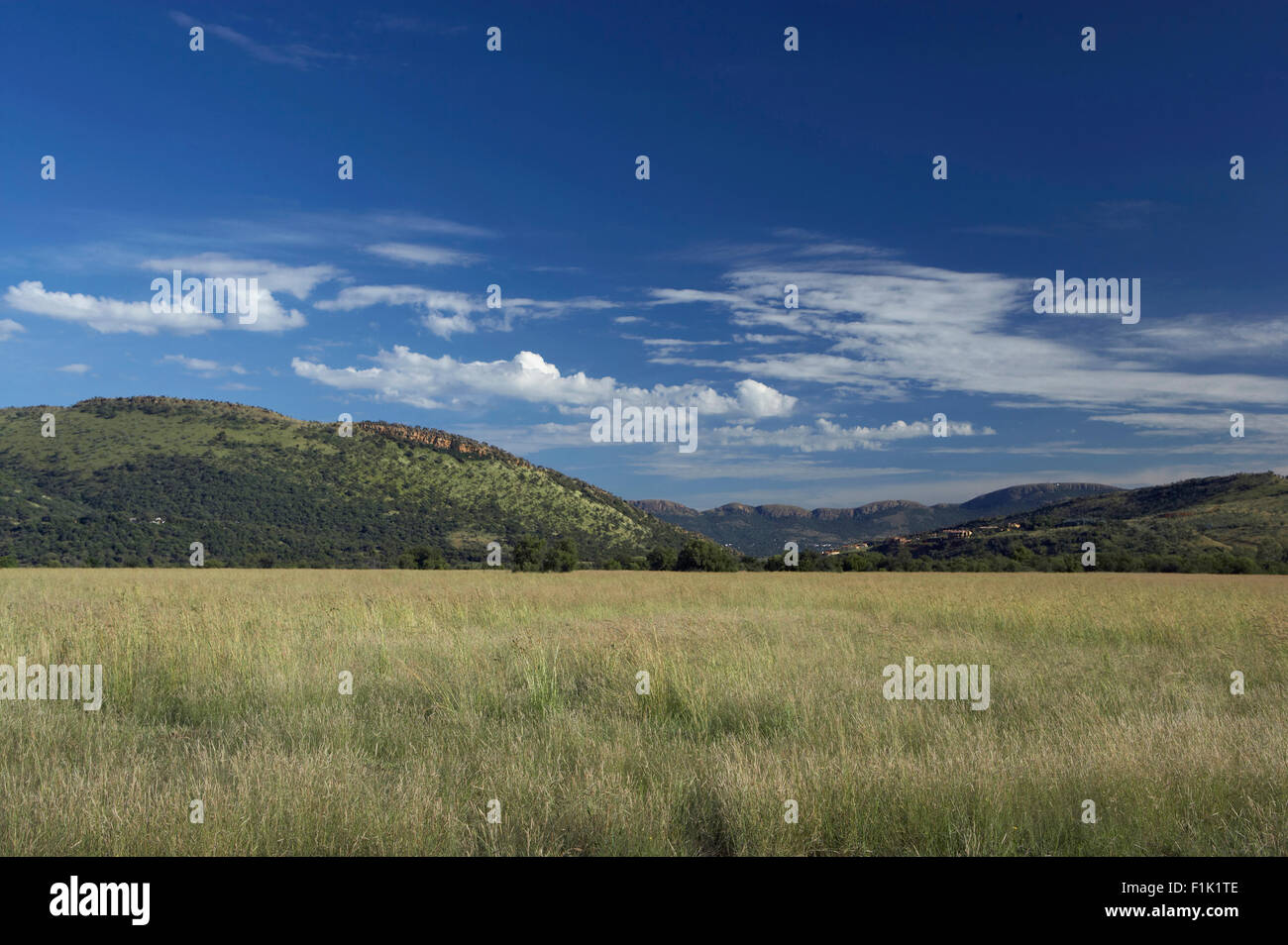 Paesaggio, Magaliesberg, nord ovest della provincia, Sud Africa Foto Stock