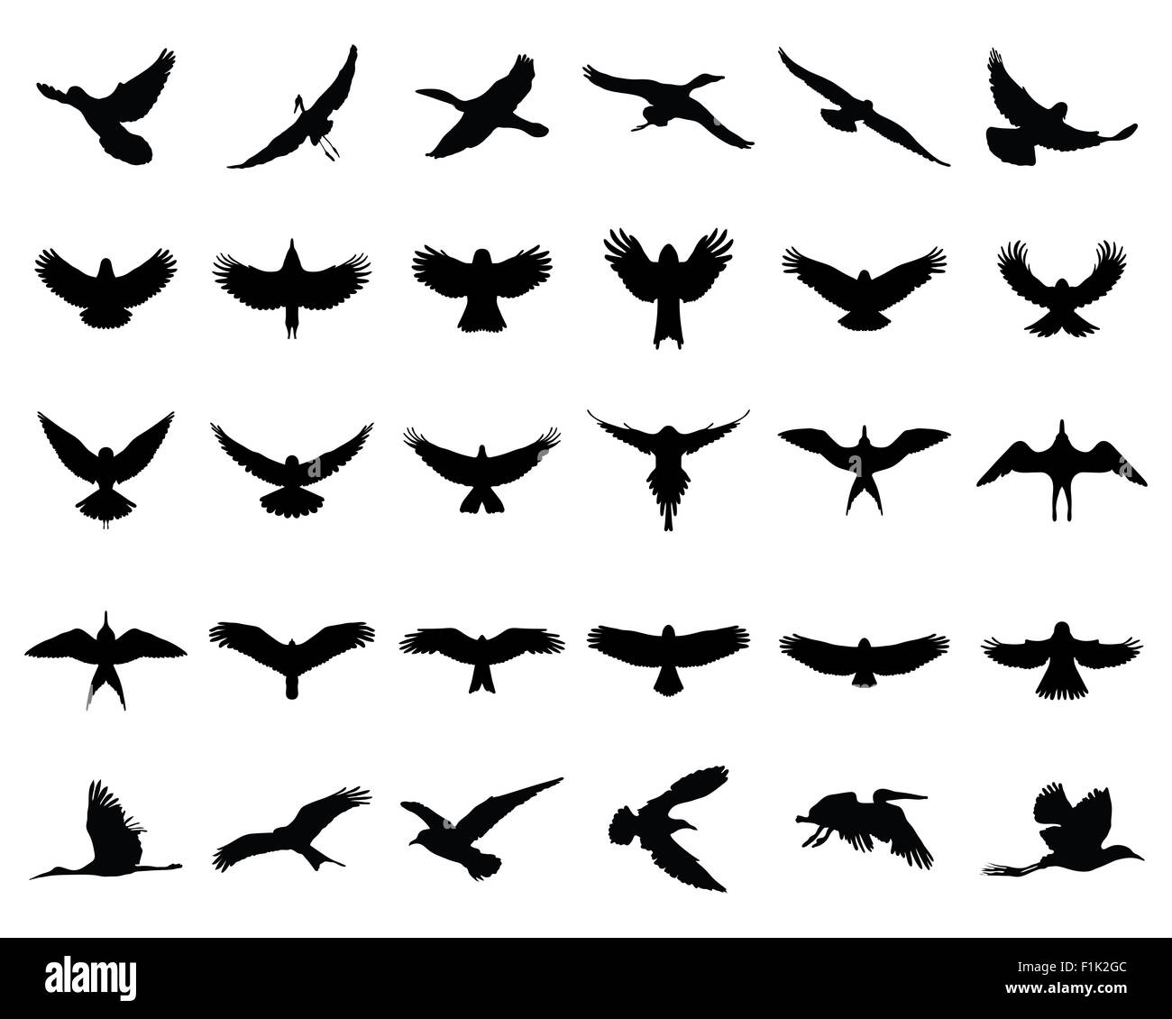 Silhouette nera di uccelli in volo, il vettore Foto Stock