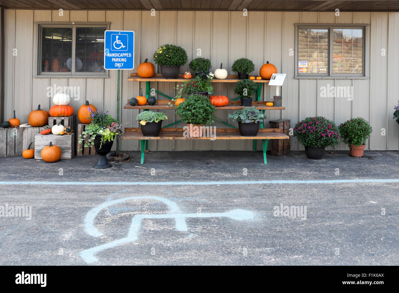 Raccolto autunnale display a tema a VonBergen del mercato di fattoria a Hebron, Illinois, Stati Uniti d'America Foto Stock