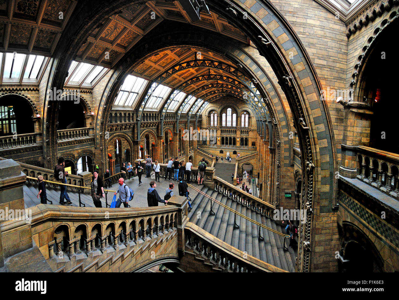 Londra, Inghilterra, Regno Unito. Museo di Storia Naturale, Kensington. Interno Foto Stock