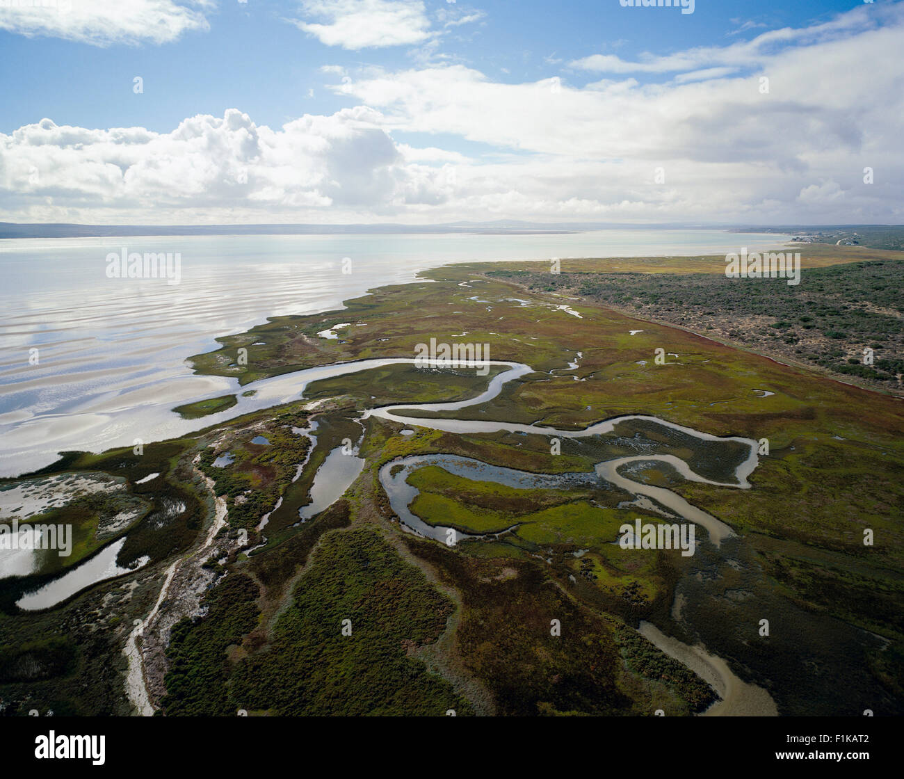 Palude di marea costa Langebaan Western Cape, Sud Africa Foto Stock