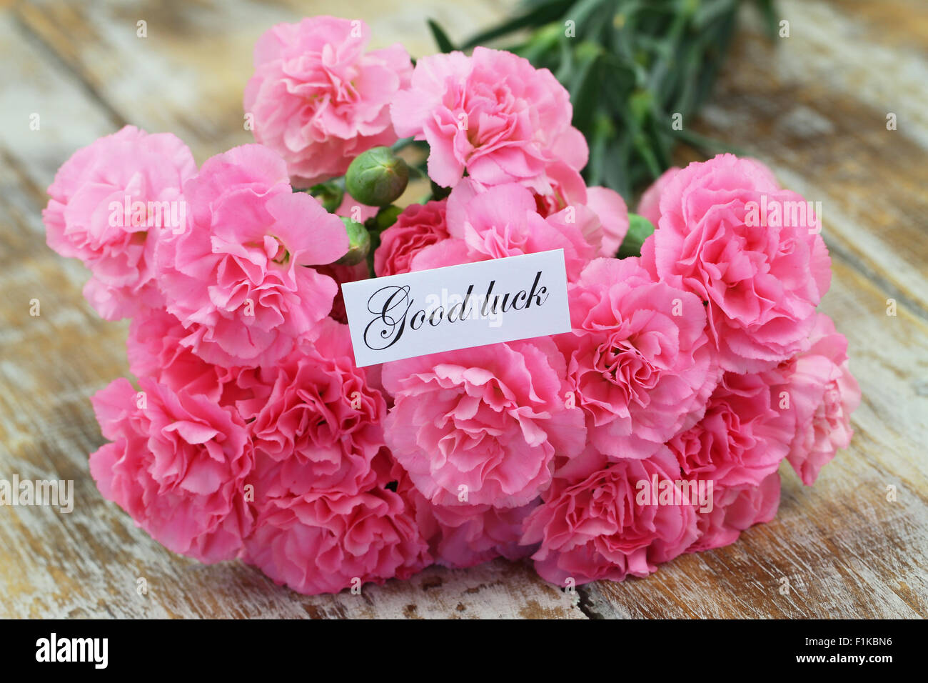 Buona fortuna con carta di rosa fiori di garofano Foto Stock