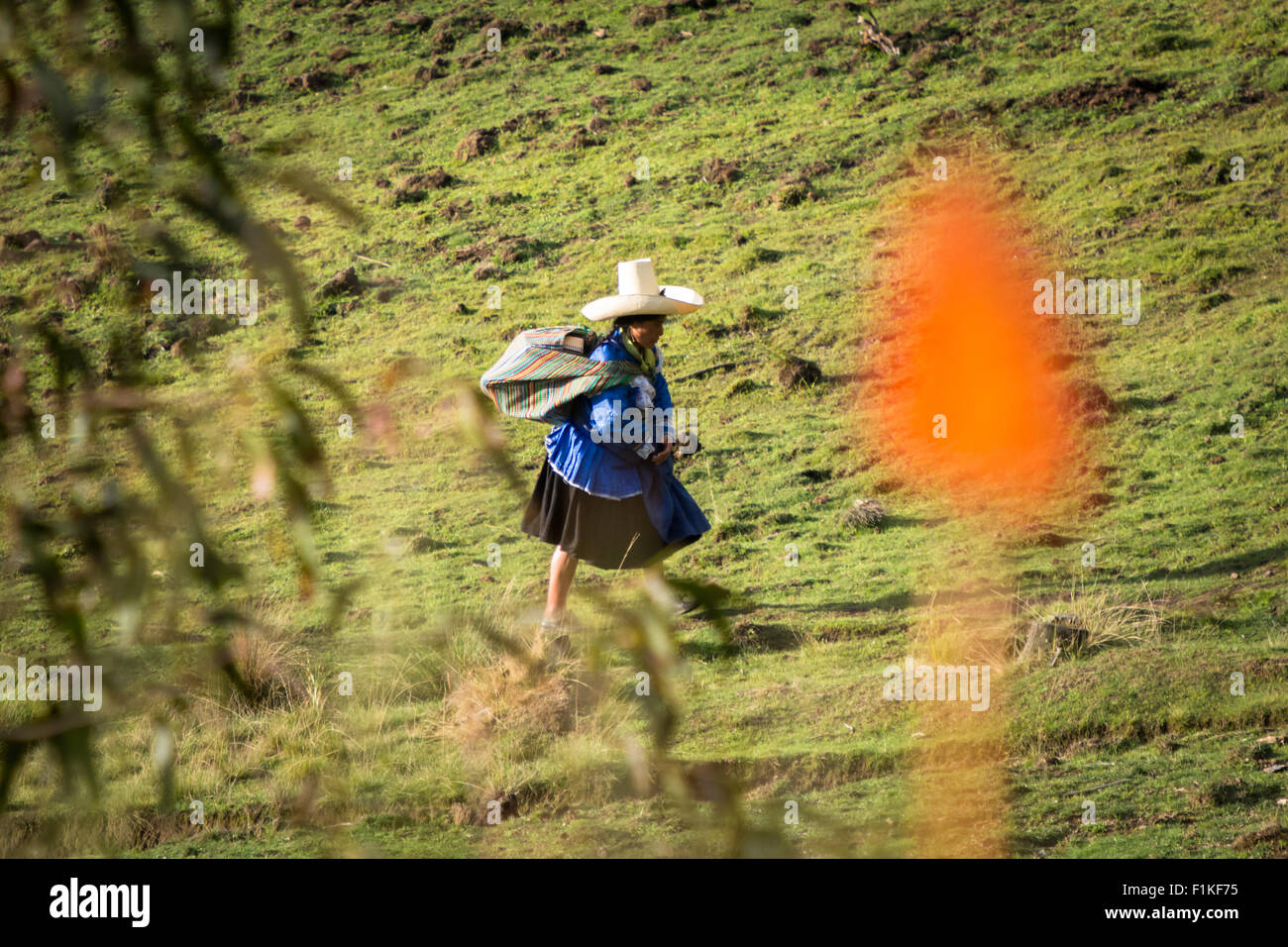 Donna Peruviana in abito tradizionale e hat home a piedi in Gran Porcon sulle colline vicino a Cajamarca, Perù Foto Stock