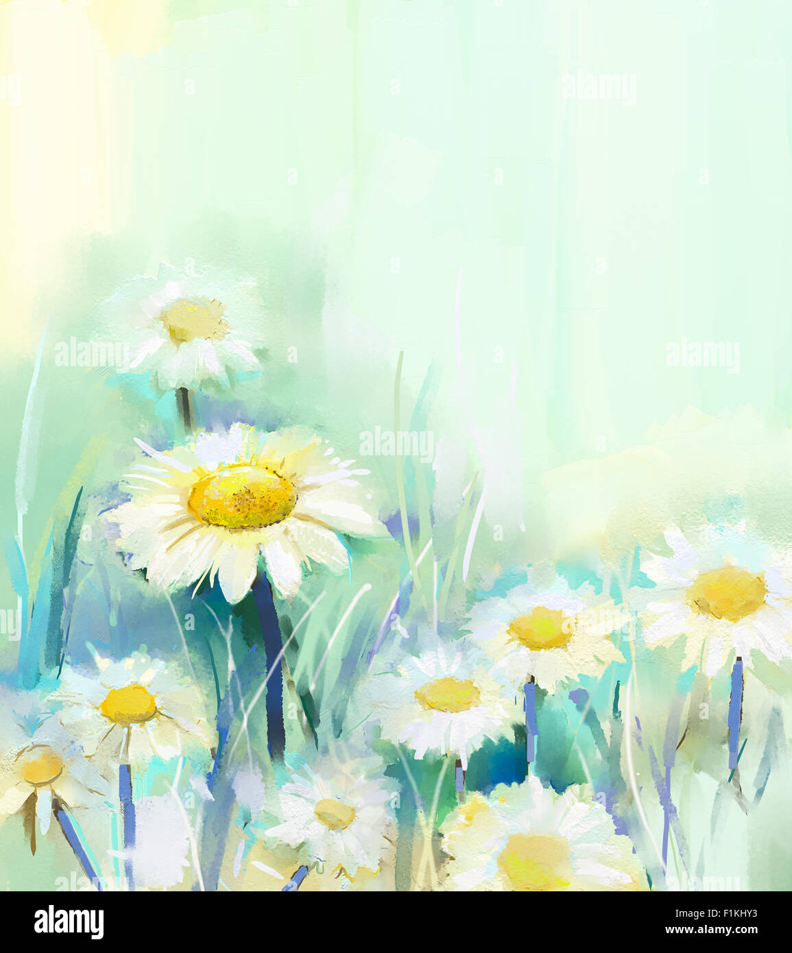 Pittura di olio bianco fiori a margherita in campi. Prato paesaggio con fiori selvaggi Foto Stock