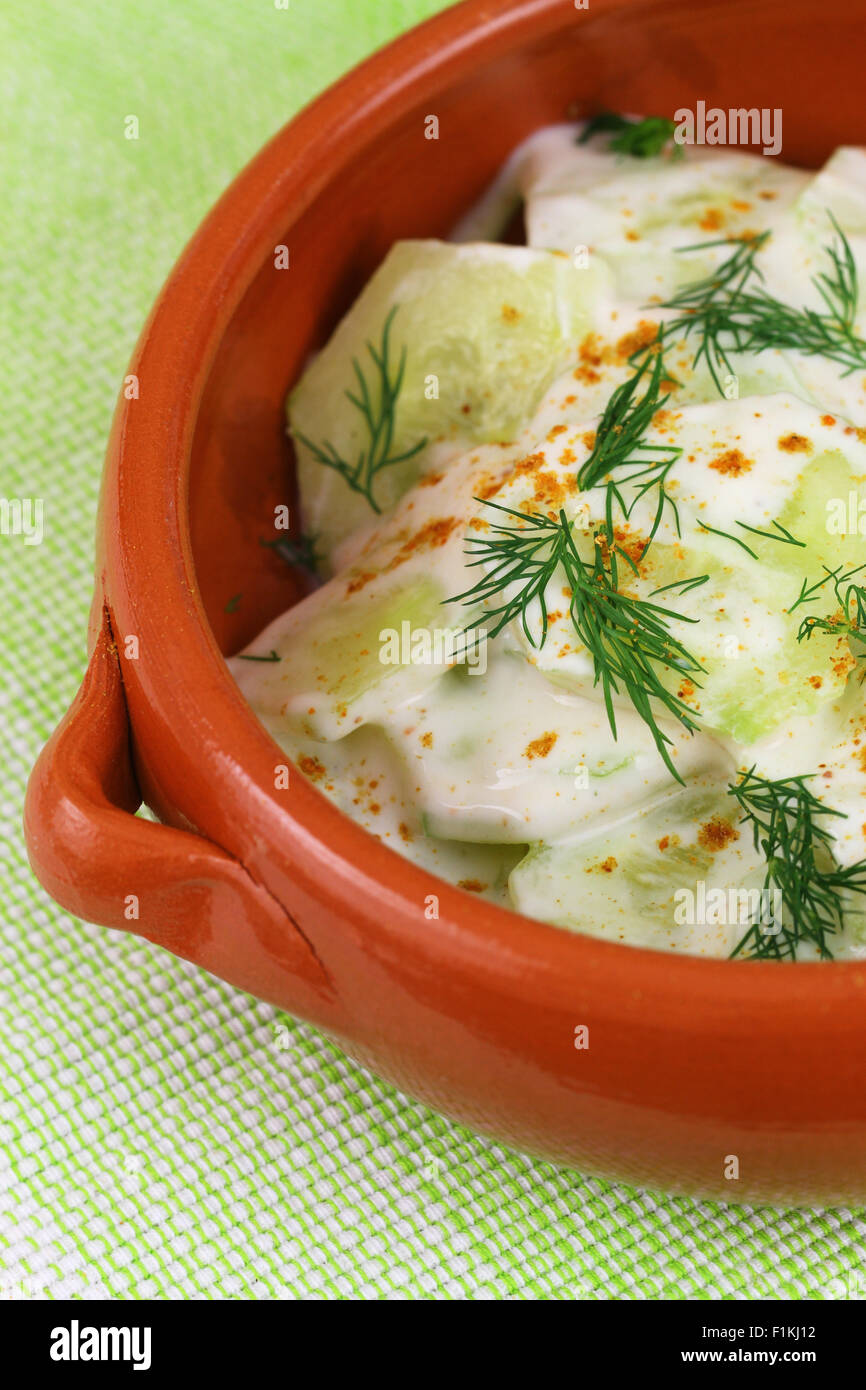 Insalata di cetrioli con panna acida e aneto fresco nel recipiente di argilla, close up Foto Stock