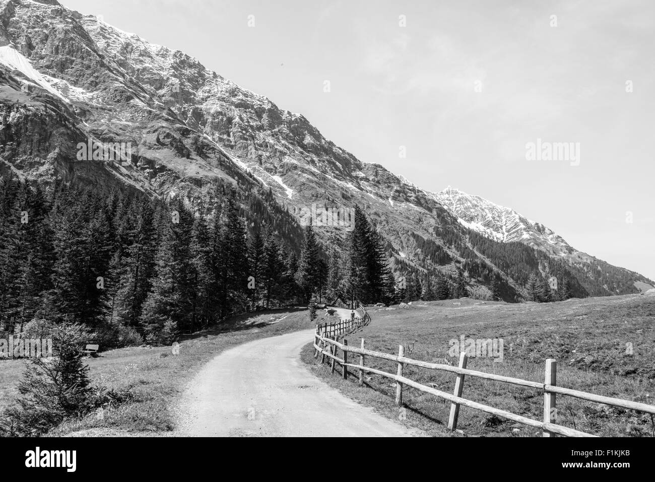 Viste intorno Hintersee, vicino a Zell, Austria Foto Stock