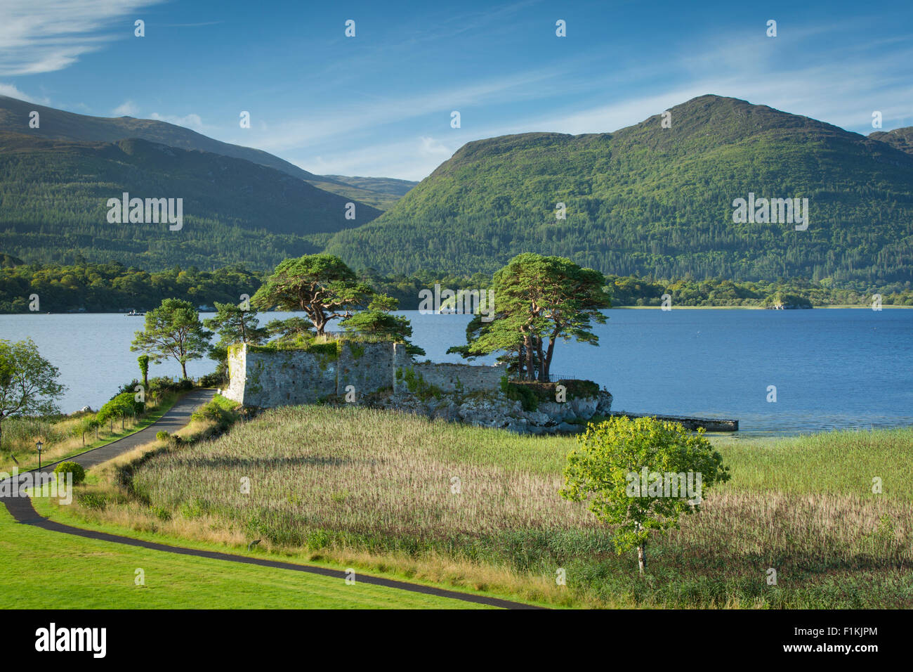 McCarthy Mor Castello (b. Xii secolo), lungo il Lough Leane vicino a Killarney, nella contea di Kerry, Irlanda Foto Stock