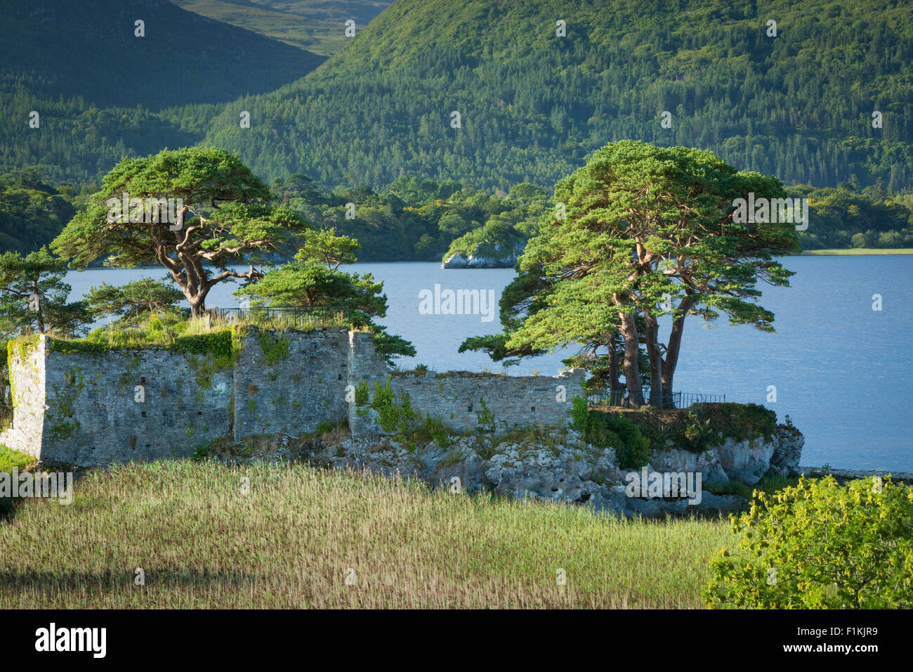 McCarthy Mor Castello (b. Xii secolo), lungo il Lough Leane vicino a Killarney, nella contea di Kerry, Irlanda Foto Stock