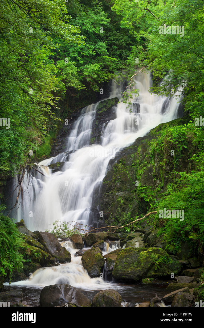 Torc cascate, Parco Nazionale di Killarney, nella contea di Kerry, Repubblica di Irlanda Foto Stock