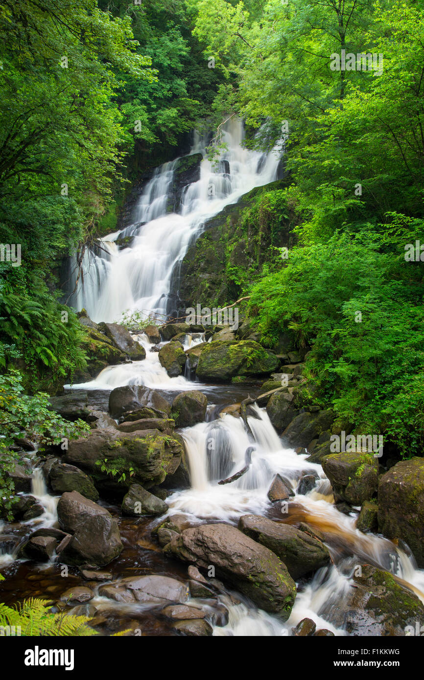 Torc cascate, Parco Nazionale di Killarney, nella contea di Kerry, Repubblica di Irlanda Foto Stock