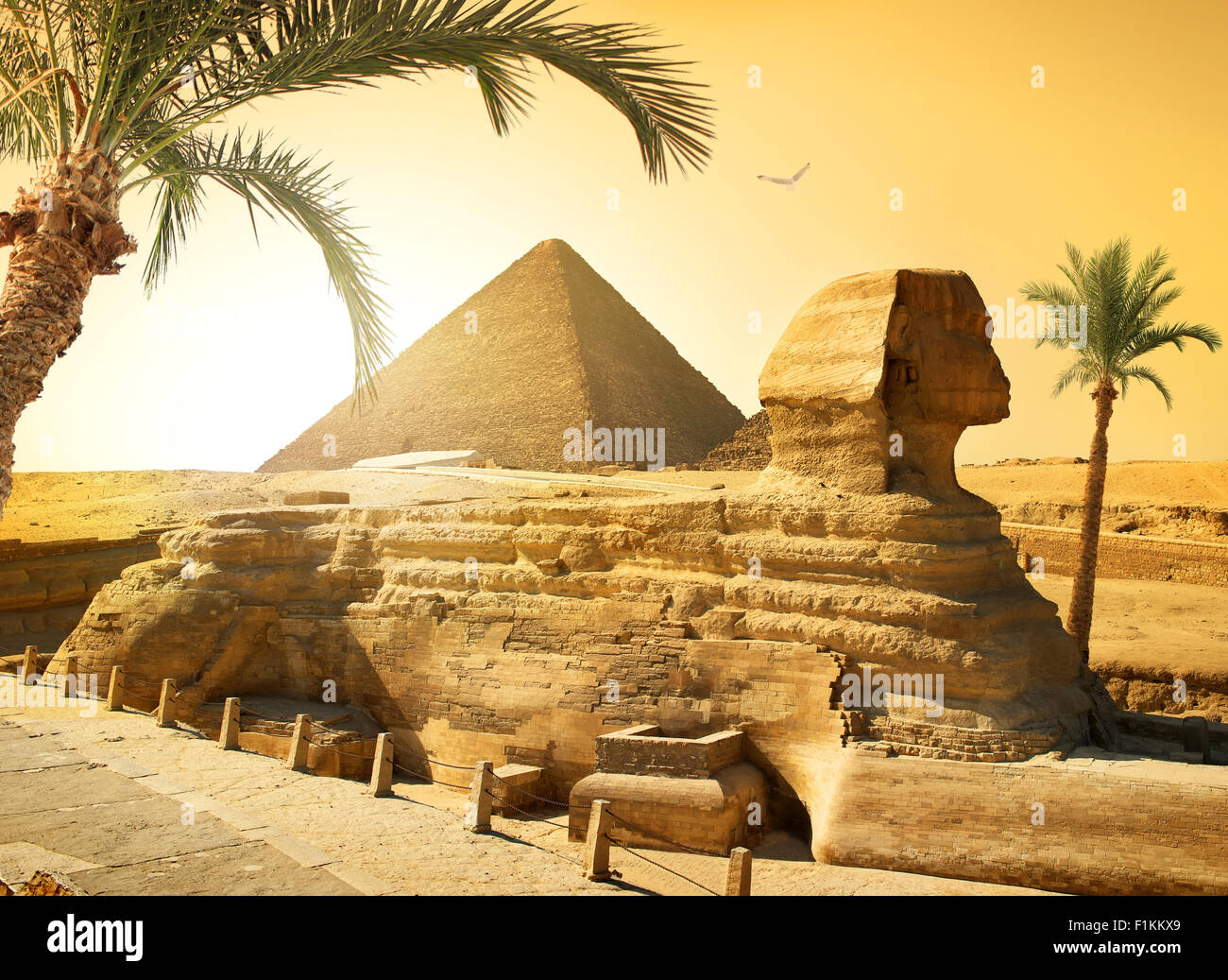 Le palme vicino a sfinge e piramide nel deserto egiziano Foto Stock