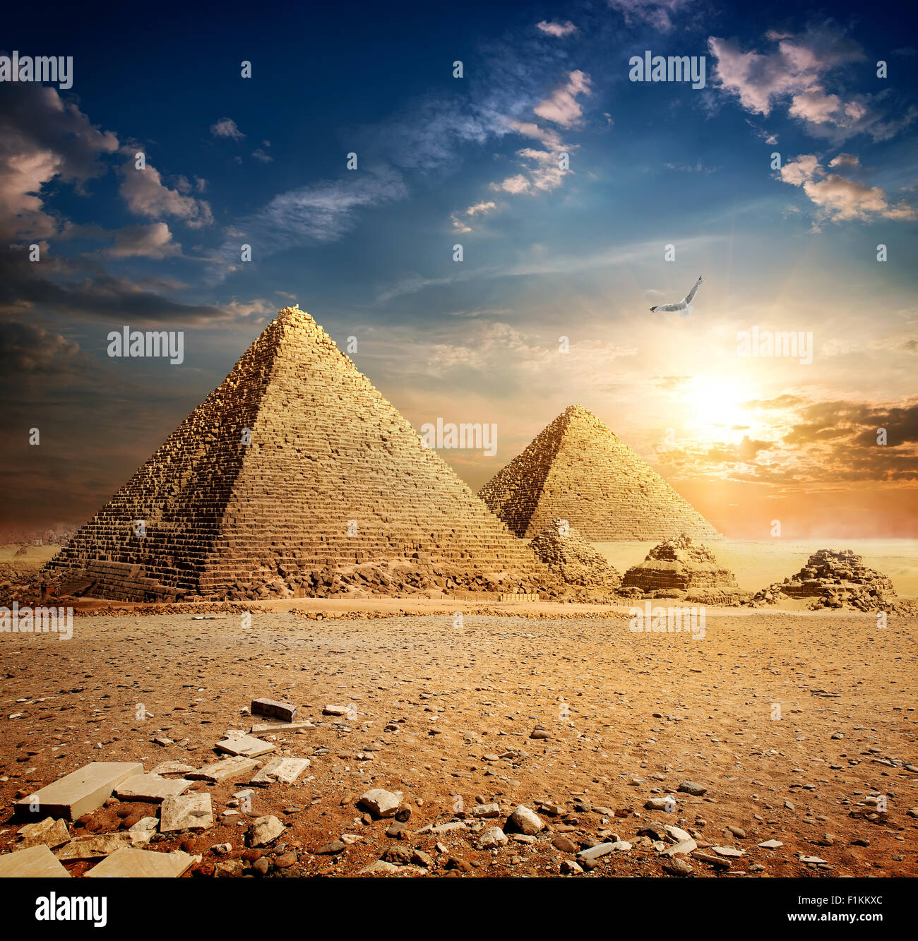 Grosso uccello su piramidi al tramonto Foto Stock