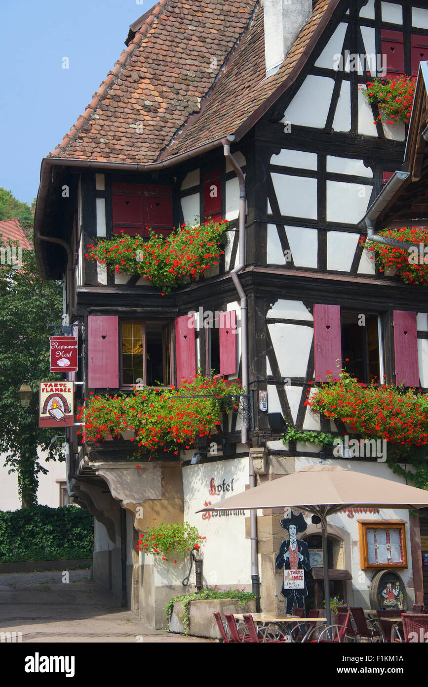 Metà tradizionale edificio con travi di legno a Place de l'Etoile Obernai Alsace Francia Foto Stock