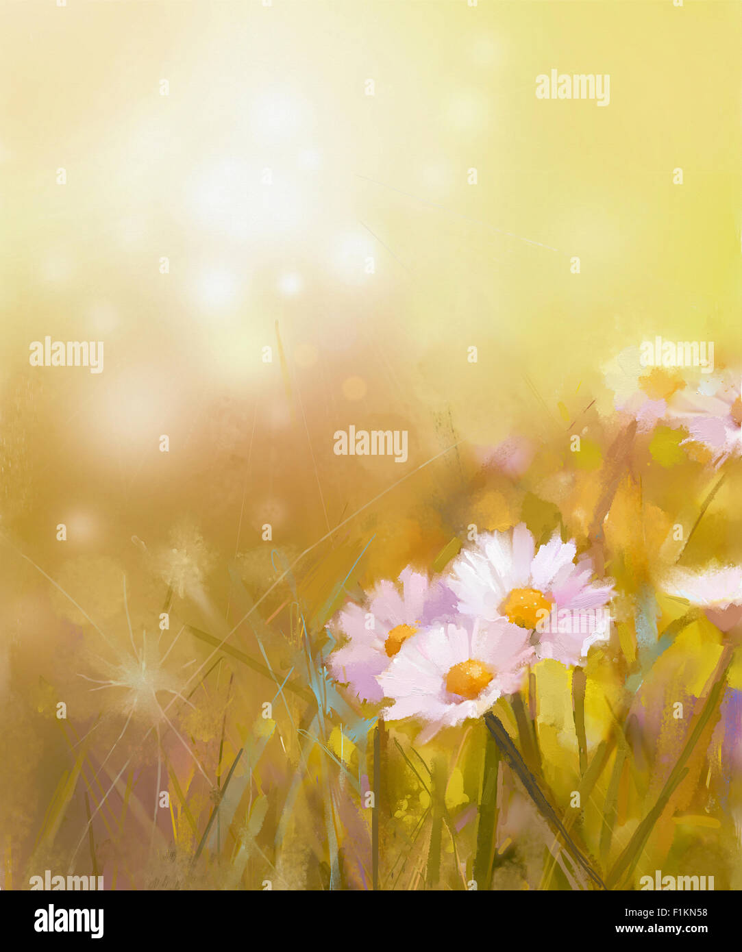 Pittura di olio Daisy bianca-i fiori di camomilla campo al sunrise.molla stagione di fiori selvaggi, colori soft e la sfocatura sullo sfondo Foto Stock