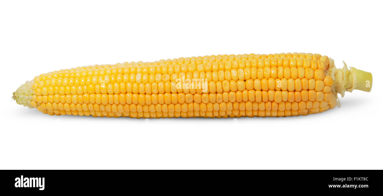 Orecchio purificato di mais isolati su sfondo bianco Foto Stock