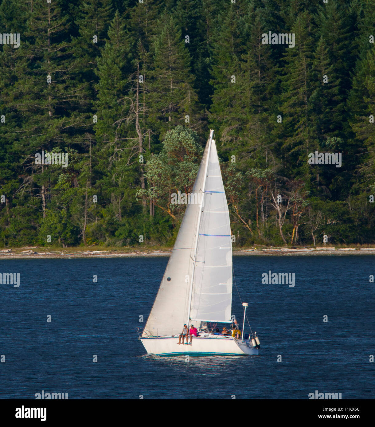 La gente la vela lungo la speranza Marina Isola del Parco Statale di Puget Sound, nello Stato di Washington.USA Foto Stock