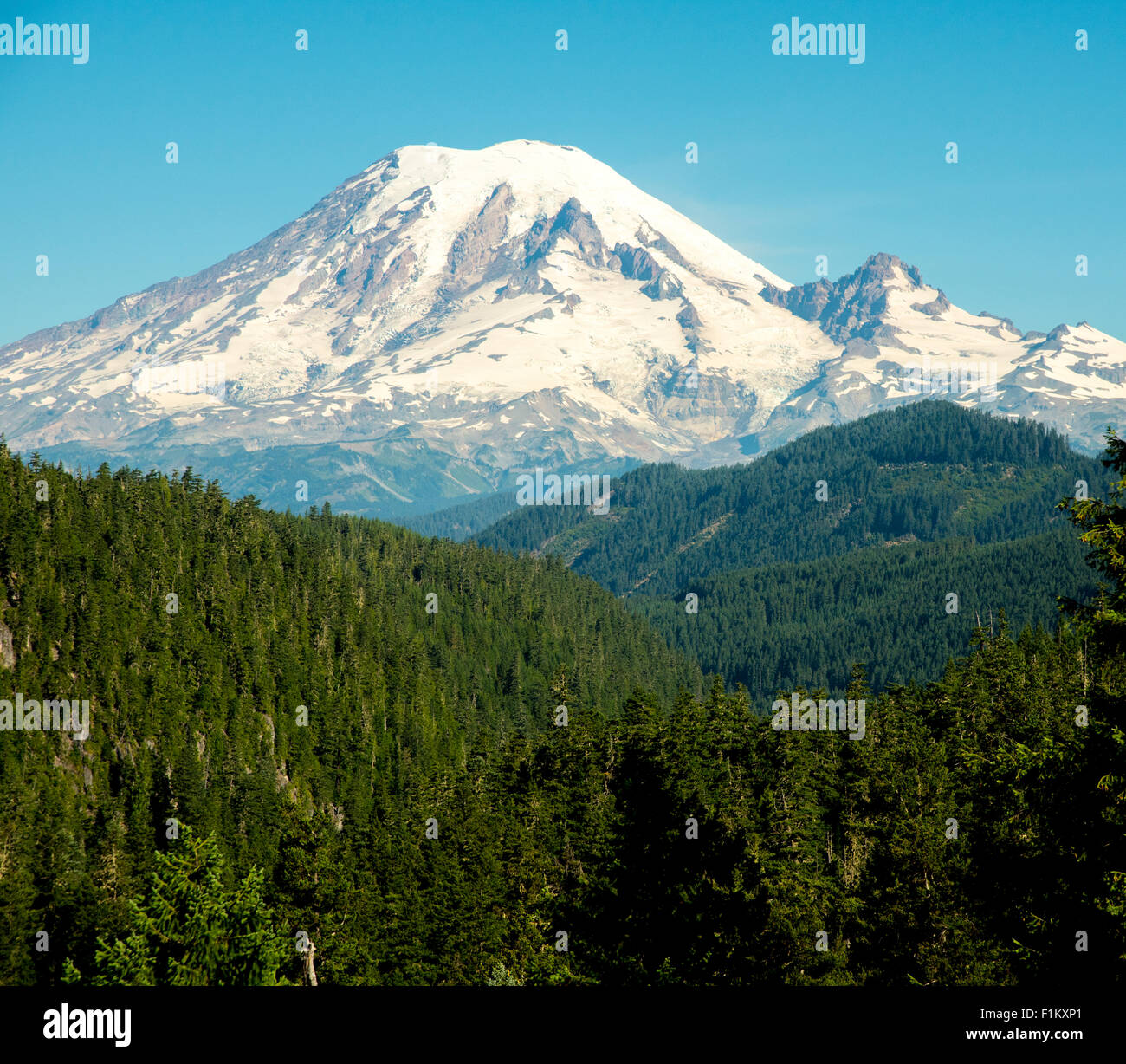Scenic close-up del Monte Rainer circondato da una foresta di alberi. Stato di Washington .USA Foto Stock