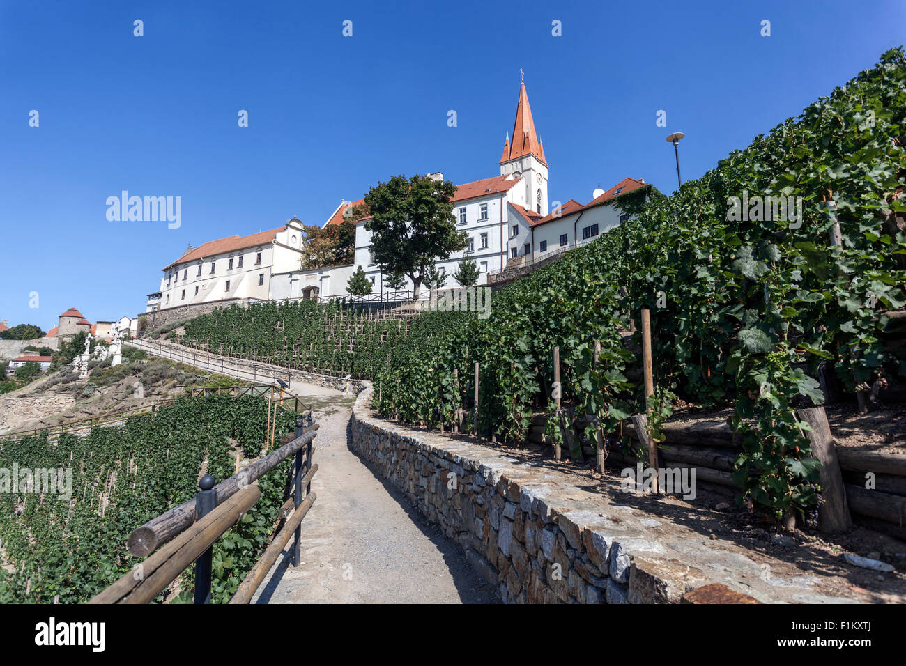 Vigneti cechi, sentiero Znojmo nel vigneto, vigneto Sud Moravia, Znojmo Repubblica Ceca, strada vigneto Europa Foto Stock