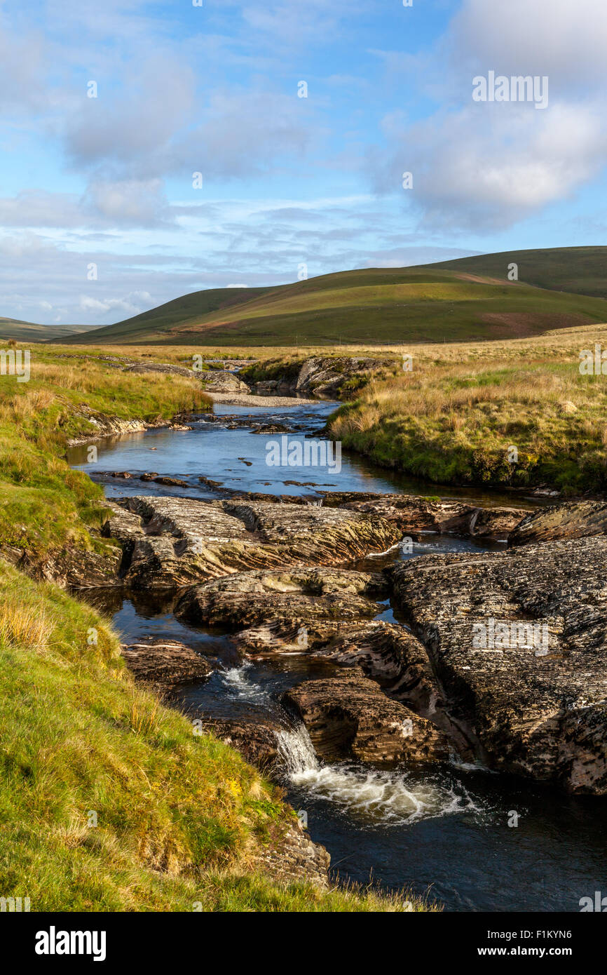 Fiume che scorre attraverso i campi di erba in aperta campagna di Cambrian Mountains in Wales UK Foto Stock