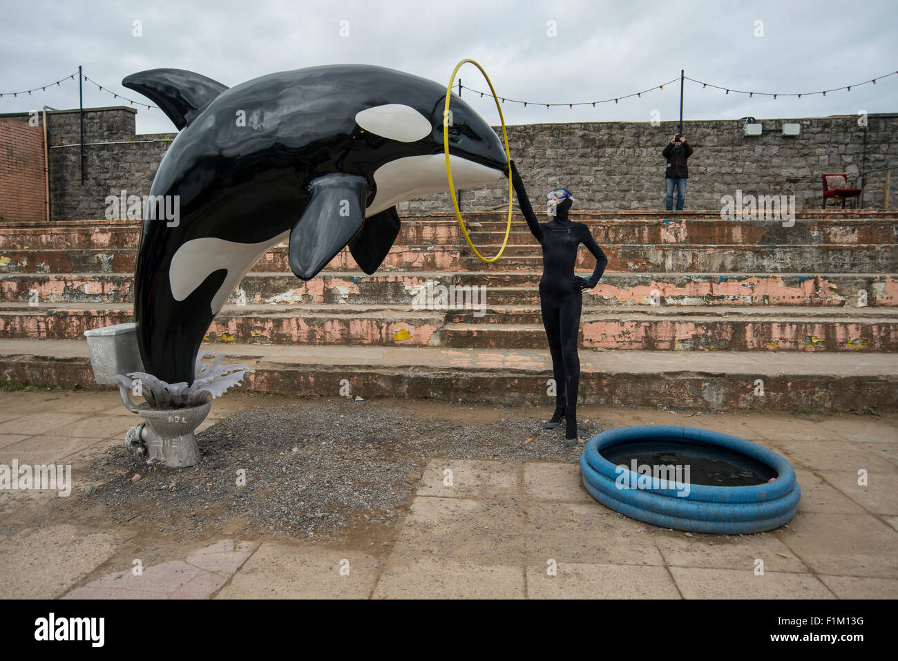 Un modello di balena killer salta fuori di un wc come parte di Banksy's Dismaland Bemusement park pop-up mostra a Weston-Super-Mare. Foto Stock