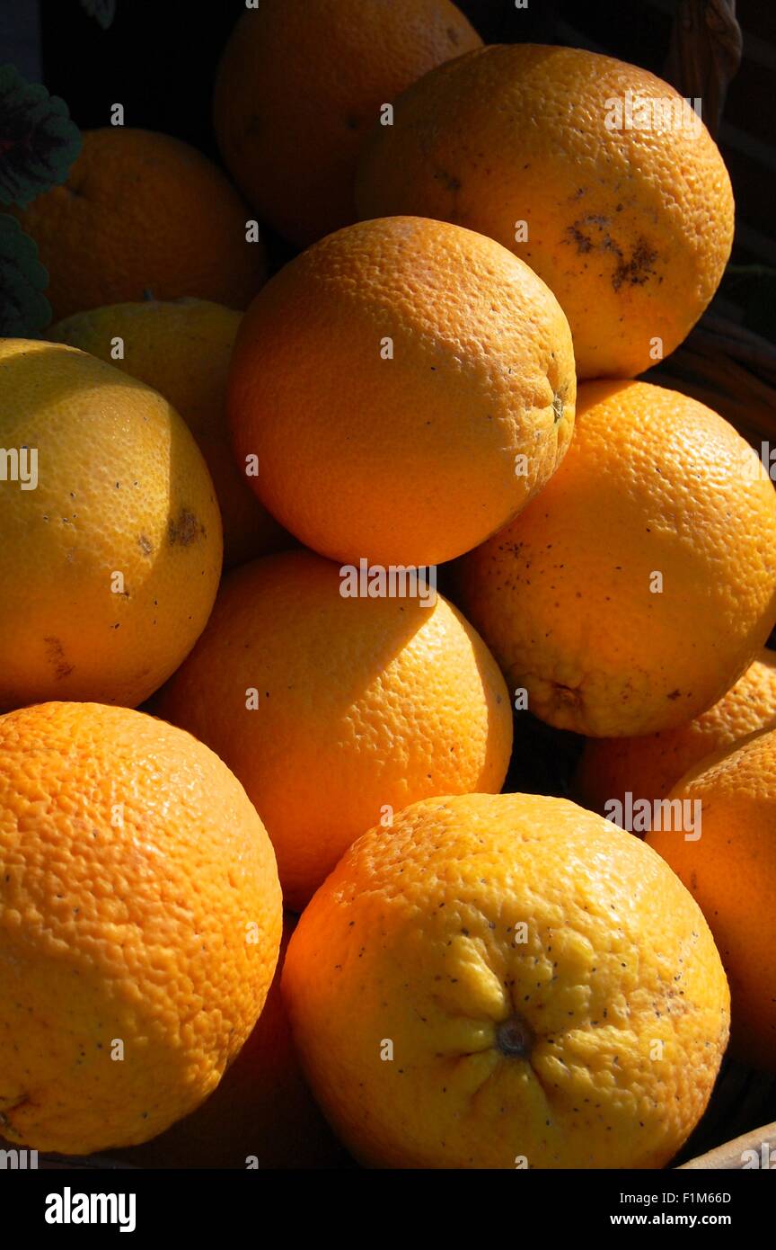 Arance in vendita in Heraklion, Creta, Grecia Foto Stock